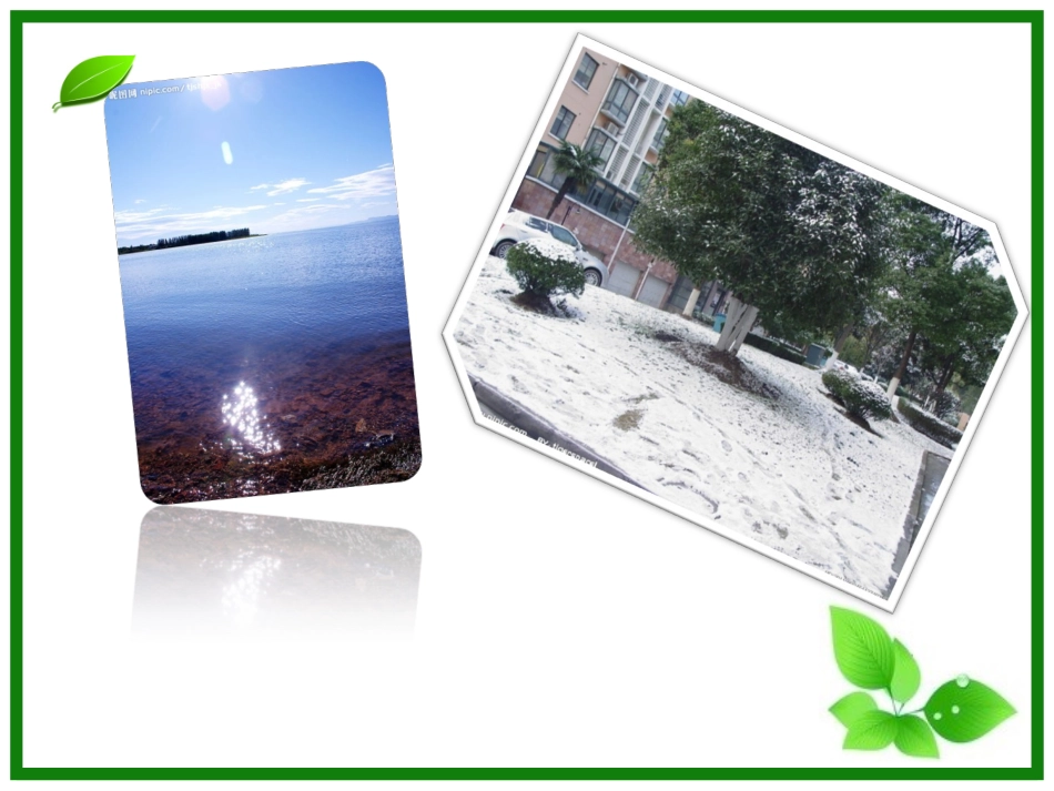 1.1《细胞生活的环境》-课件_第1页