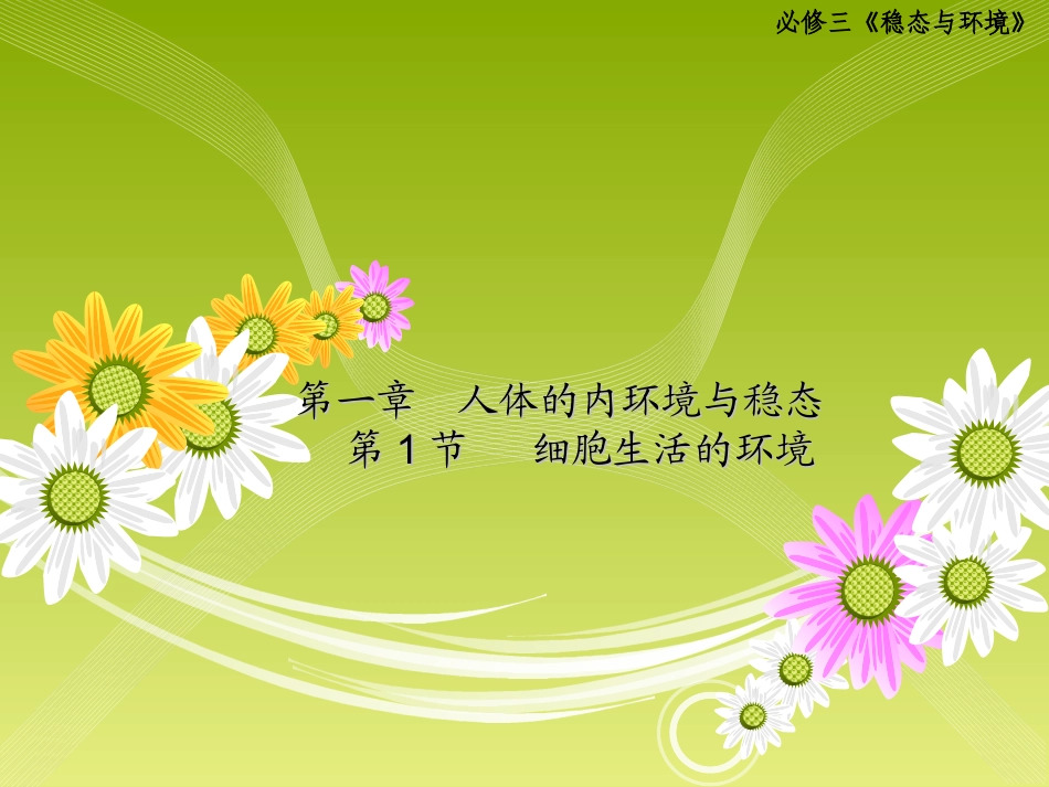 1.1《细胞生活的环境》-课件_第2页