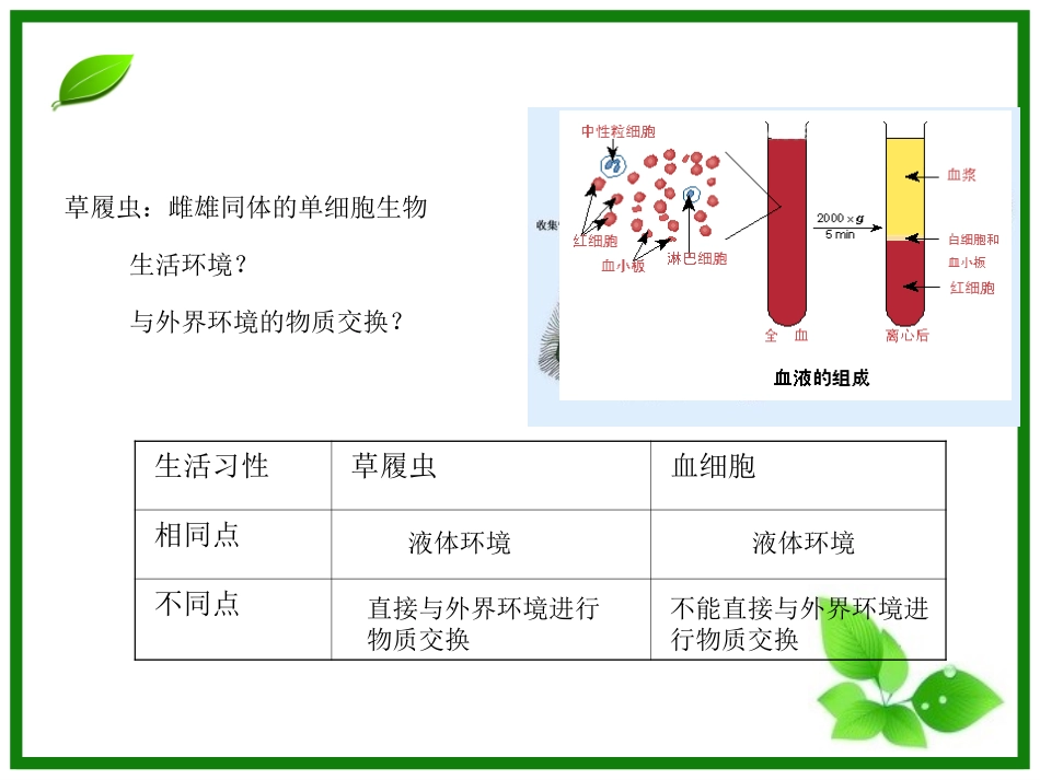 1.1《细胞生活的环境》-课件_第3页