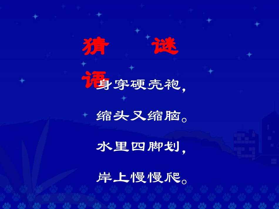 《想飞的乌龟》课堂演示课件_第1页