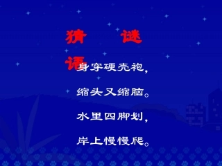 《想飞的乌龟》课堂演示课件