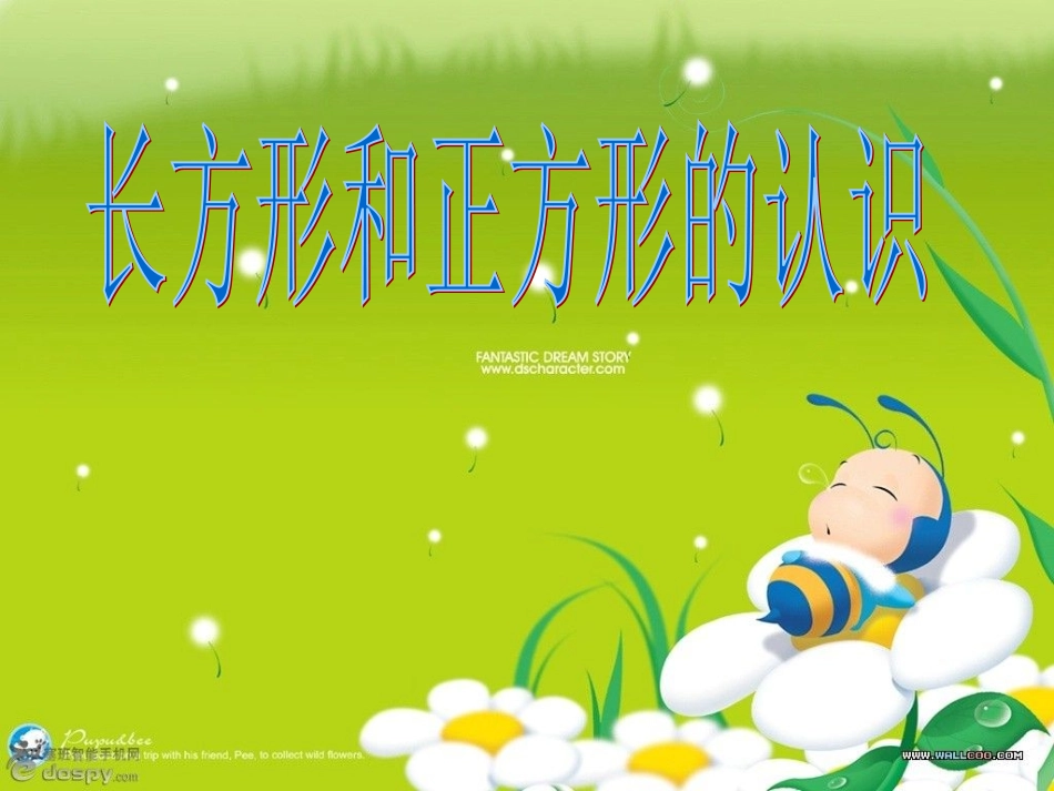 长方形的认识_第1页