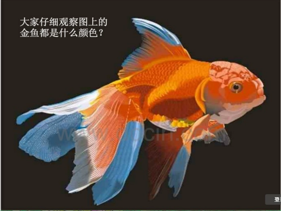 《绿色的金鱼》课件4_第2页