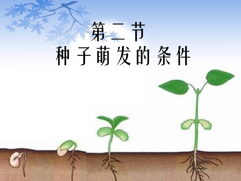 种子的萌发条件_第1页