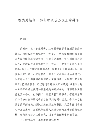 在委局新任干部任职谈话会议上的讲话
