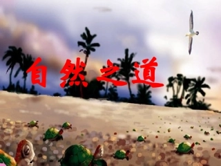 自然之道课件