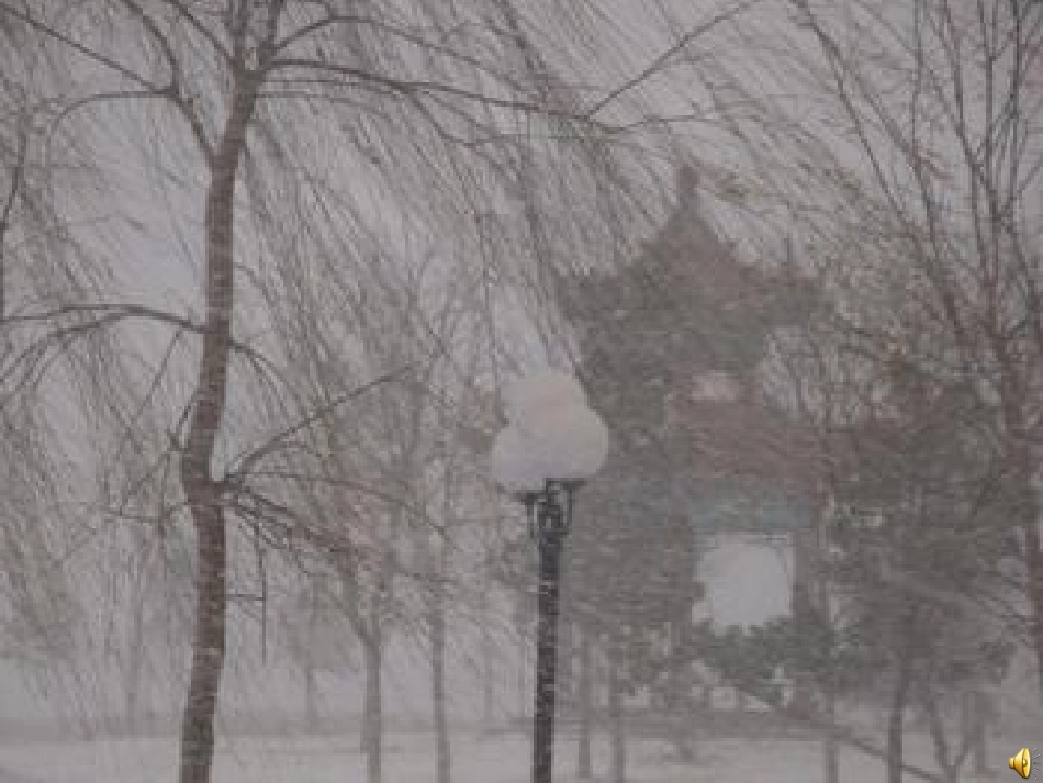 小动物过冬天_第2页