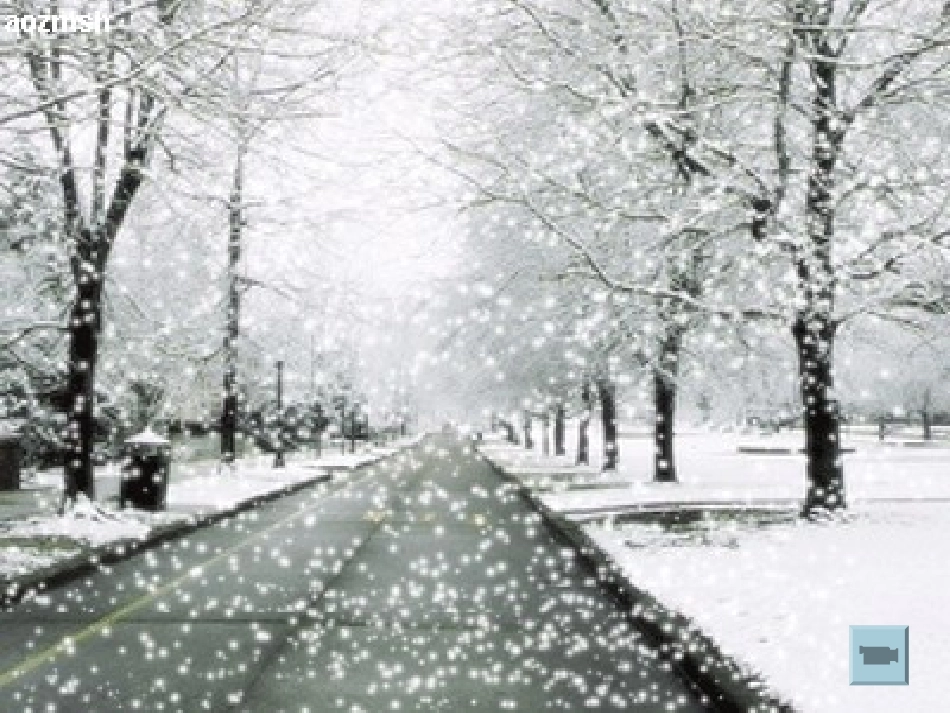 小动物过冬天_第3页