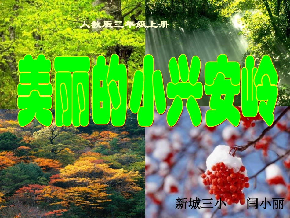 三年级语文美丽的小兴安岭讲课7_第1页