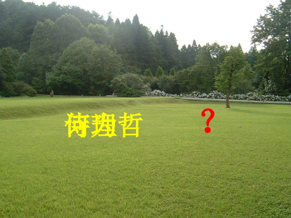 《品诗苑奇葩-启智慧大门——哲理诗之深悦读》2015.3.11_第3页