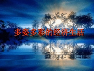九年多姿多彩的经济生活
