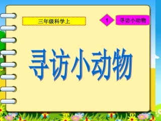2.1寻访小动物