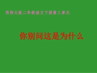 《你别问这是为什么》课件