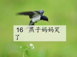 16、燕子妈妈笑了.