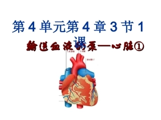 4.431输送血液的泵(心脏)1.