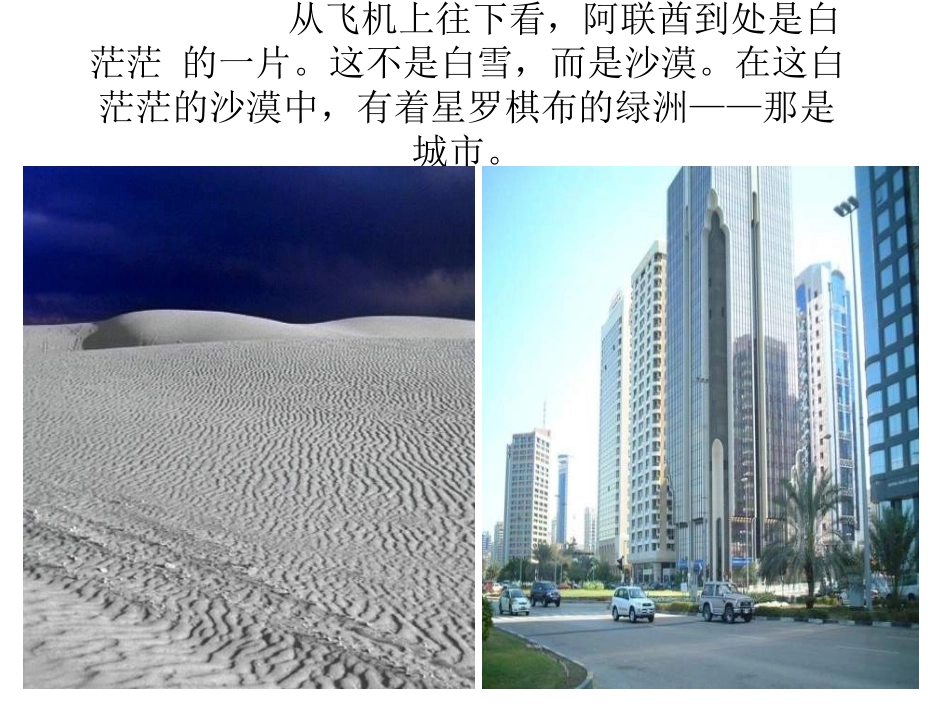 18沙漠中的绿洲》PPT_第2页