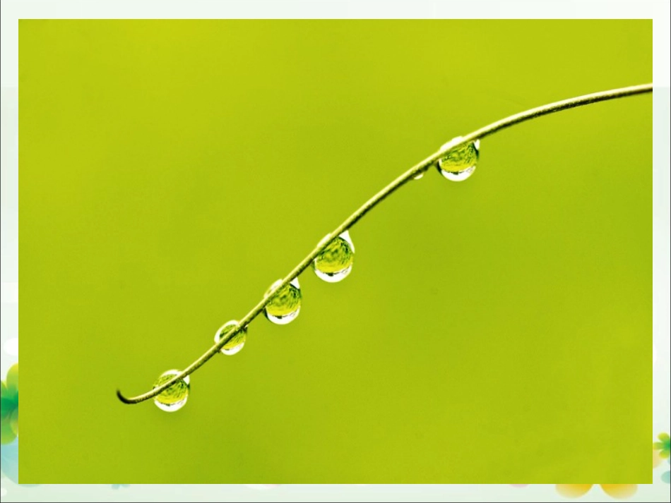 青岛版小学科学四年级上册《凝结》课件_第3页