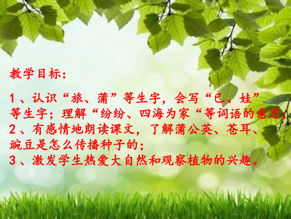 杨华比赛课件x_第2页