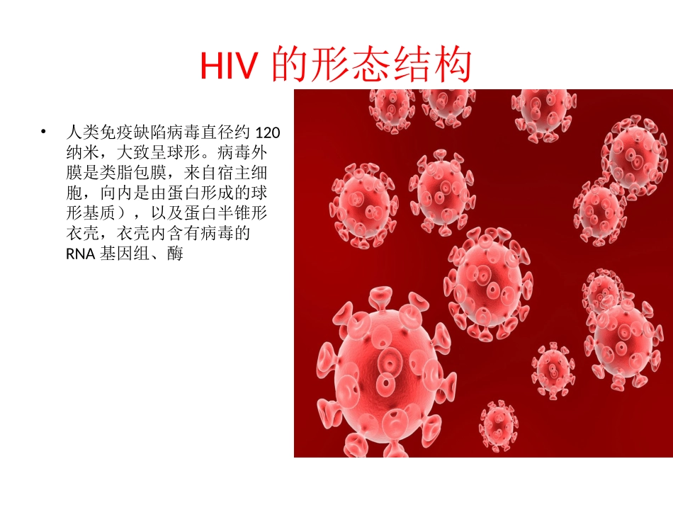 HIV与艾滋病(次稿)——张_第3页