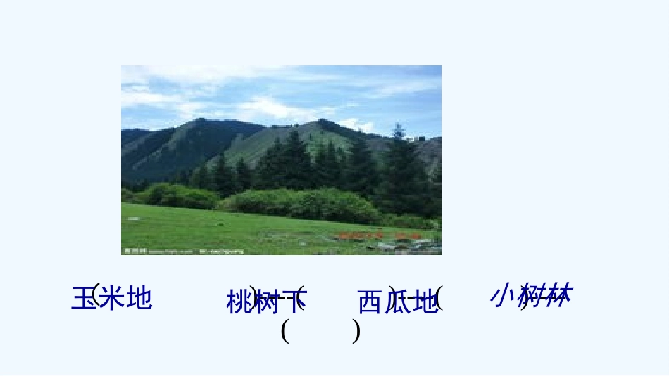 (部编)人教语文2011课标版一年级下册小猴子下山第二、三课时_第3页