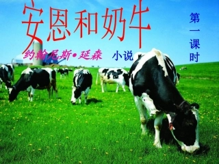 安恩和奶牛14.
