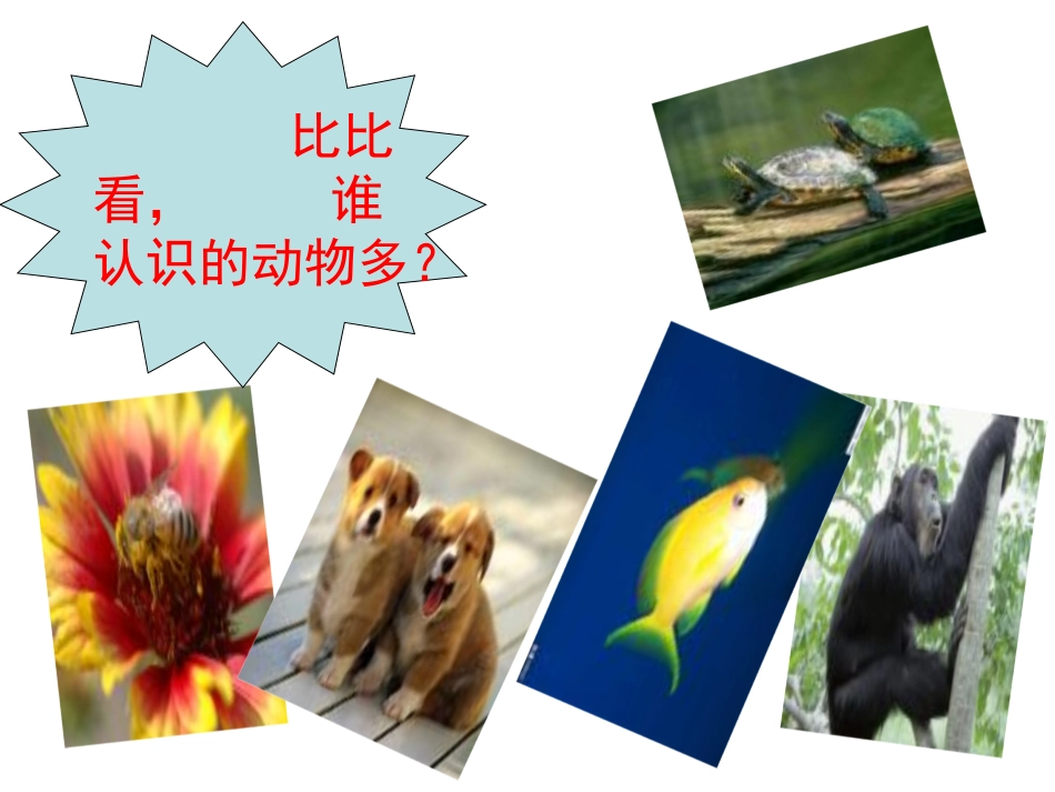 《让我走近你》课件1_第2页