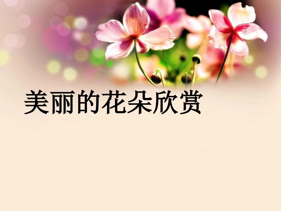 美丽的花朵欣赏_第1页