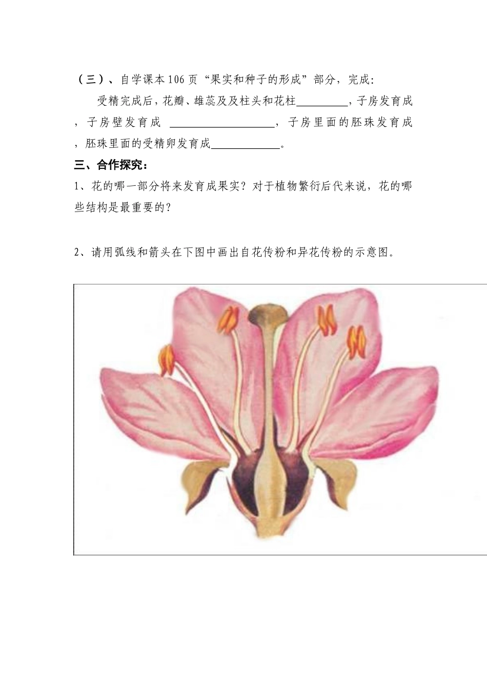 开花和结果导学案_第2页