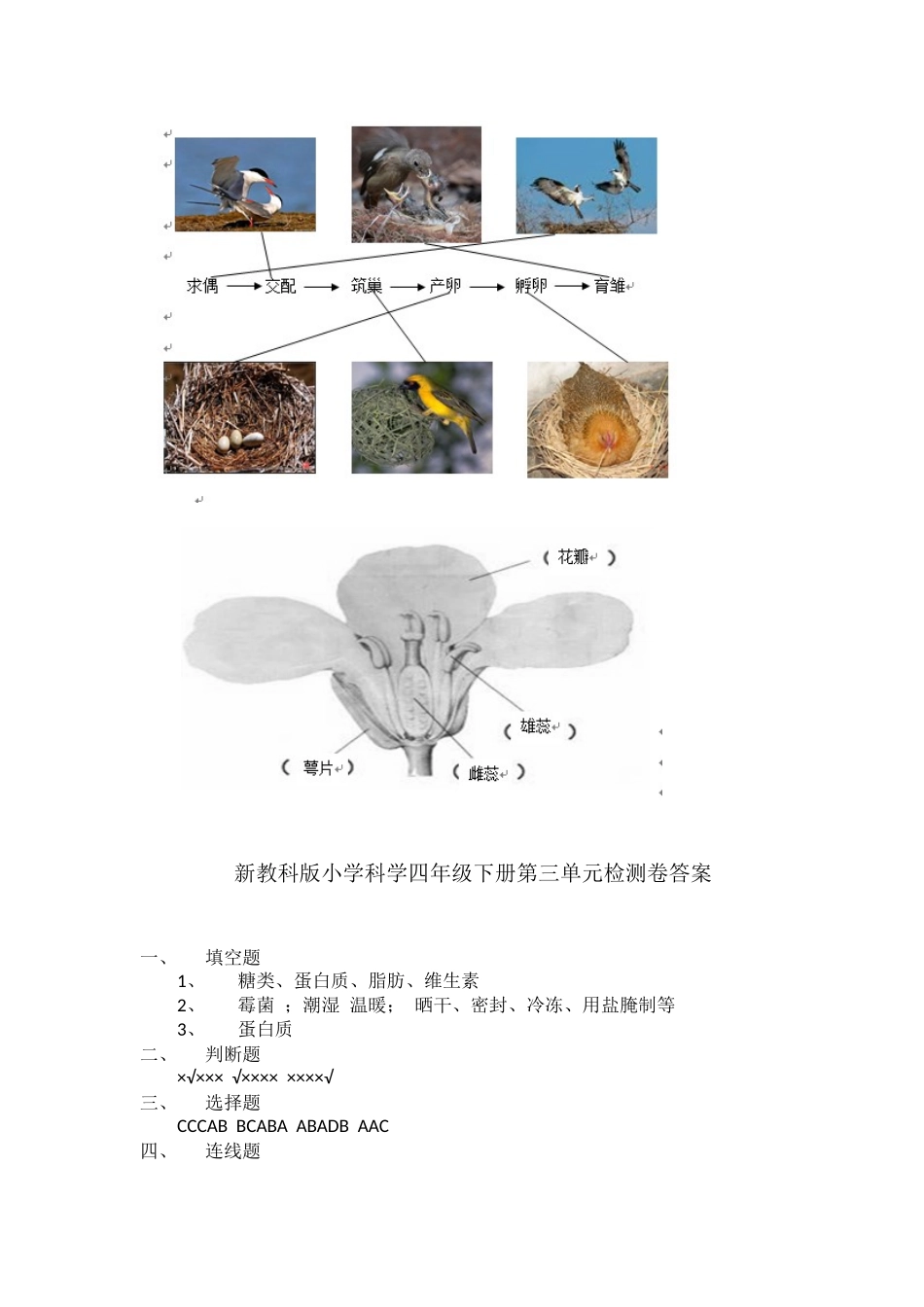 科学四下1-4单元复习卷答案_第3页
