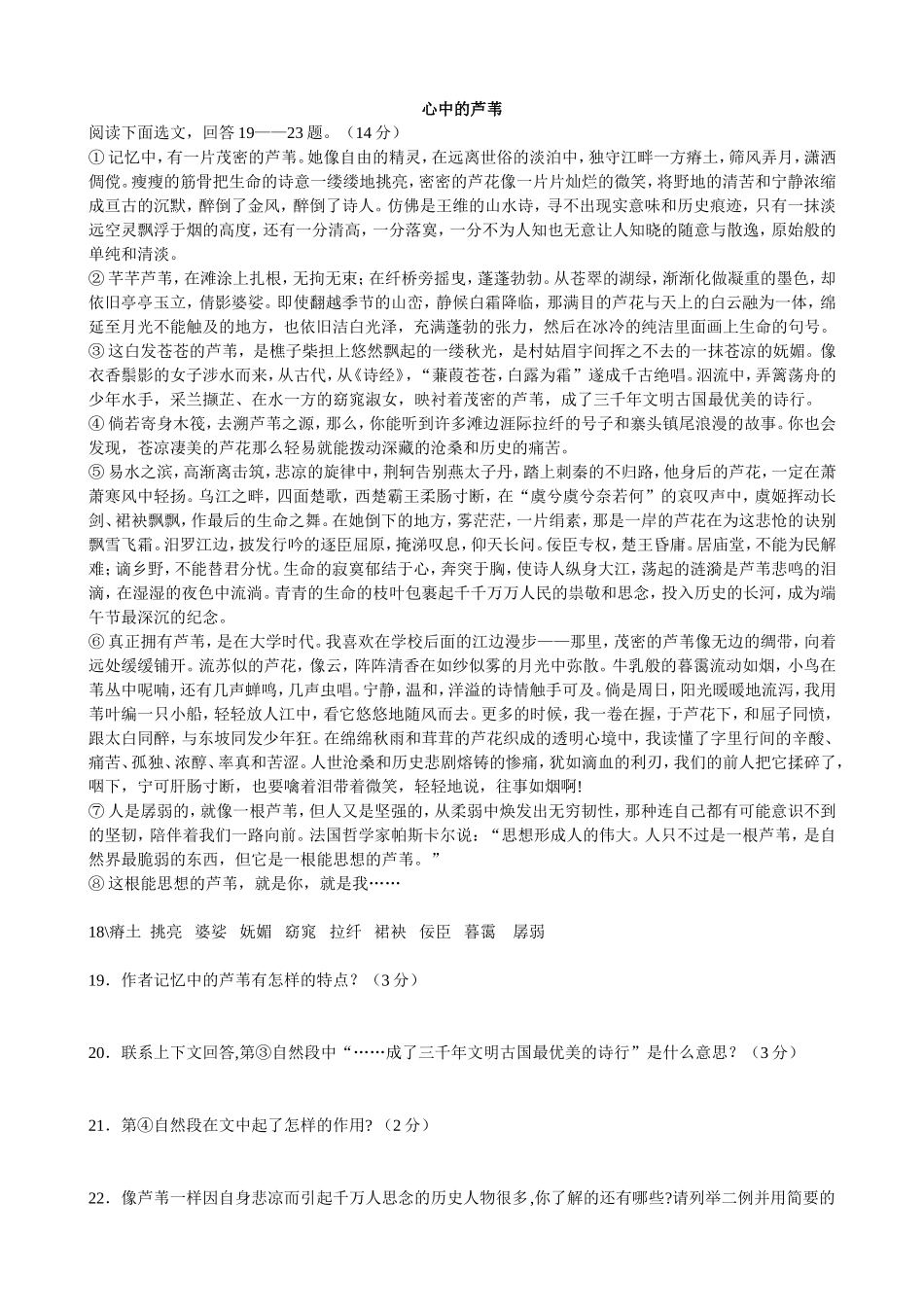 -心中的芦苇_第1页