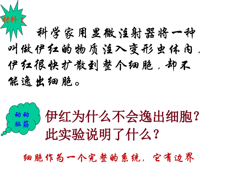 张祥--细胞膜3_第3页