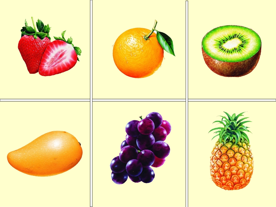 青岛版小学科学五年级下册课件《脑与神经》_第2页