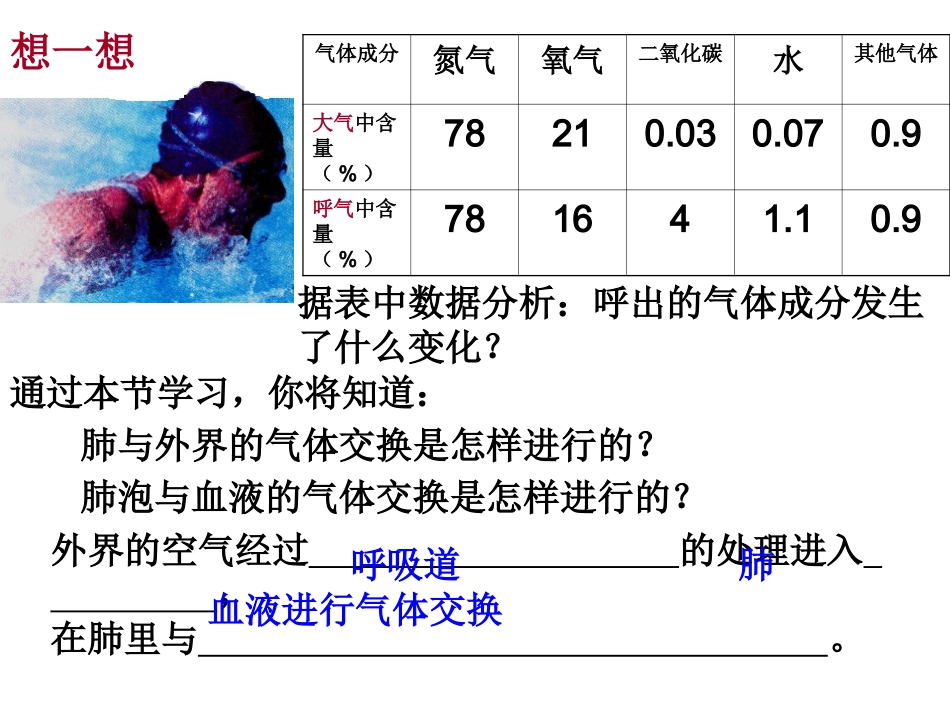 4.32发生在肺内的气体交换_第2页