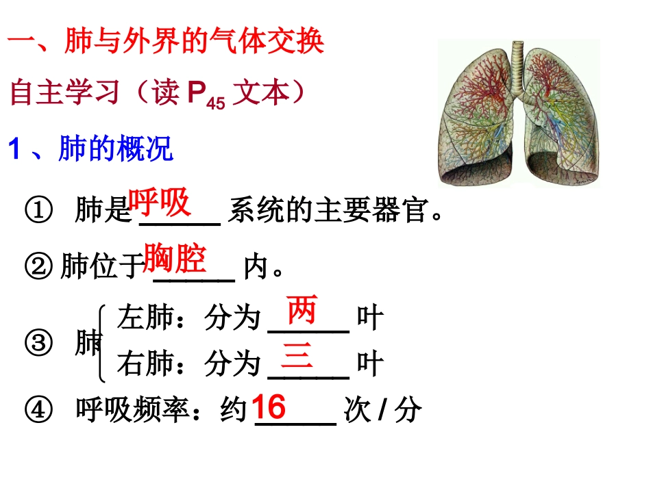 4.32发生在肺内的气体交换_第3页