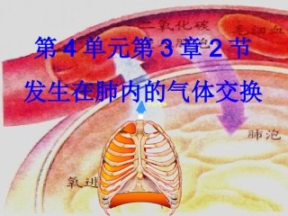 4.32发生在肺内的气体交换