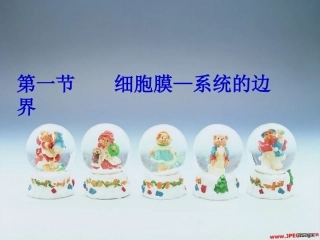 第一节---细胞膜—系统