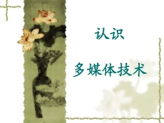 多媒体技术应用