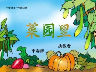 菜园里公开课课件.