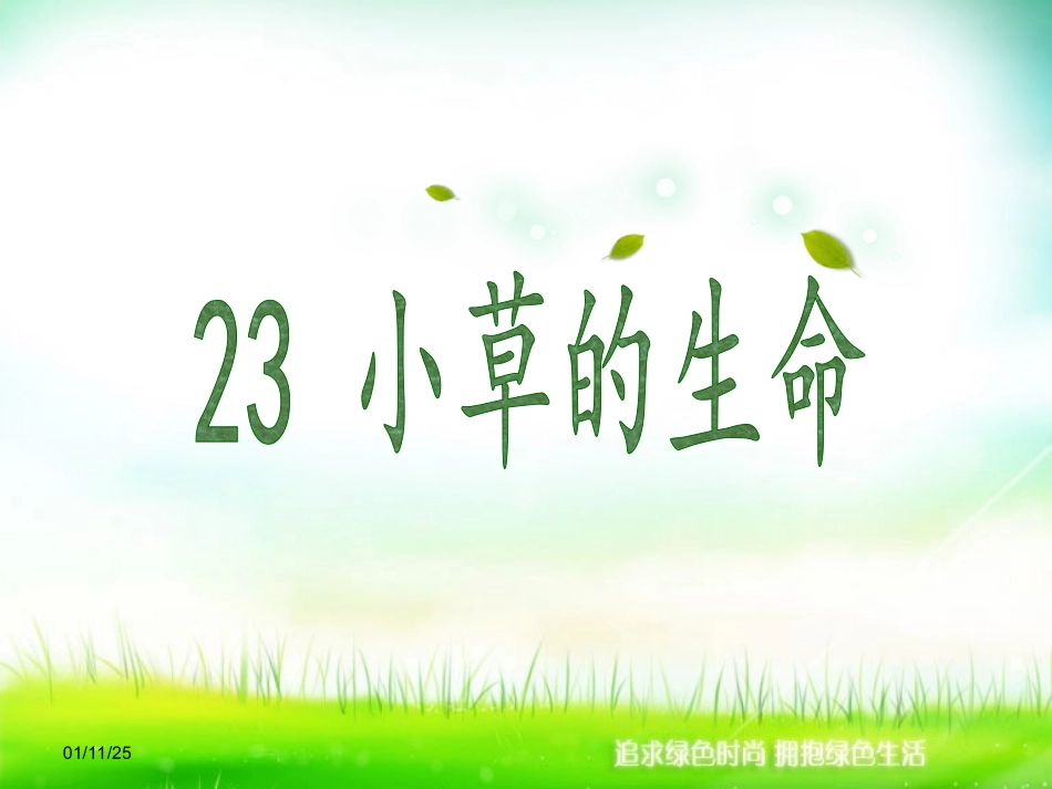 小草的生命2_第1页