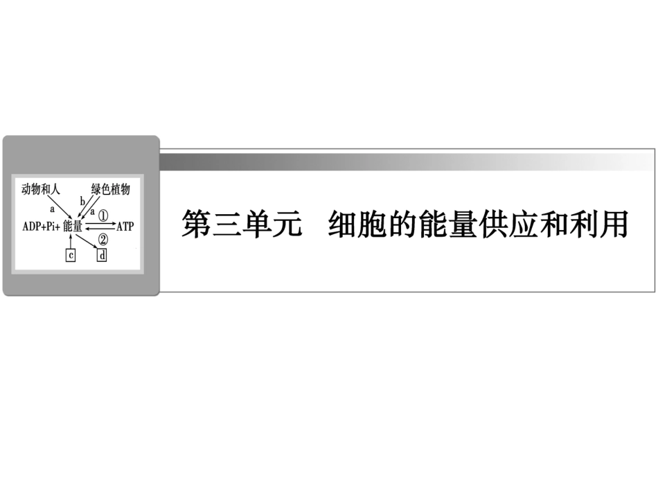 《创新导学案》2014高考总复习生物(RJ)一轮复习课件：第8讲酶与ATP(共111张PPT)_第1页
