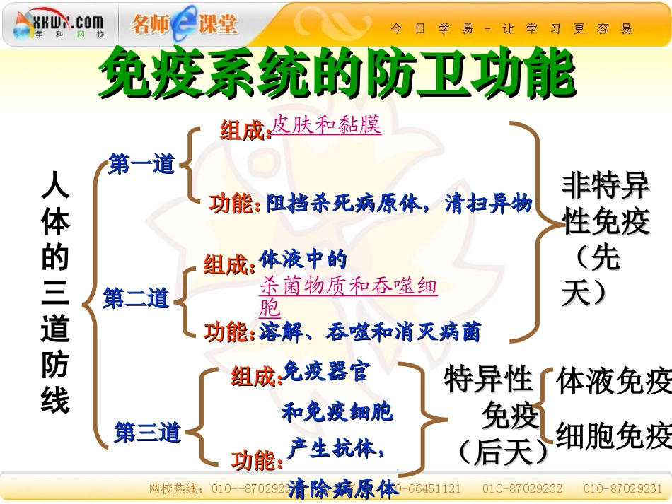 第二章第四节免疫调节._第3页