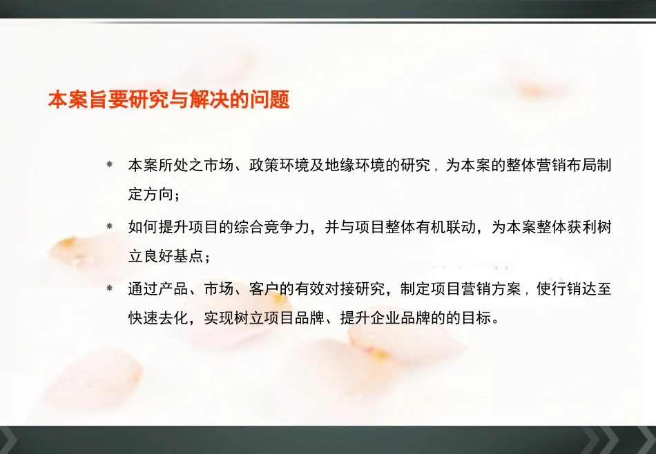 新大地康逸家园整合营销提案_第2页