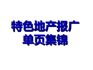 特色地产报广单页集锦