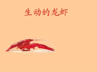 生动的龙虾-课件