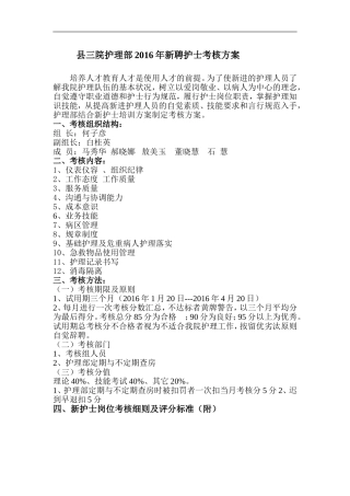 新聘护士考核方案1-Word-文档