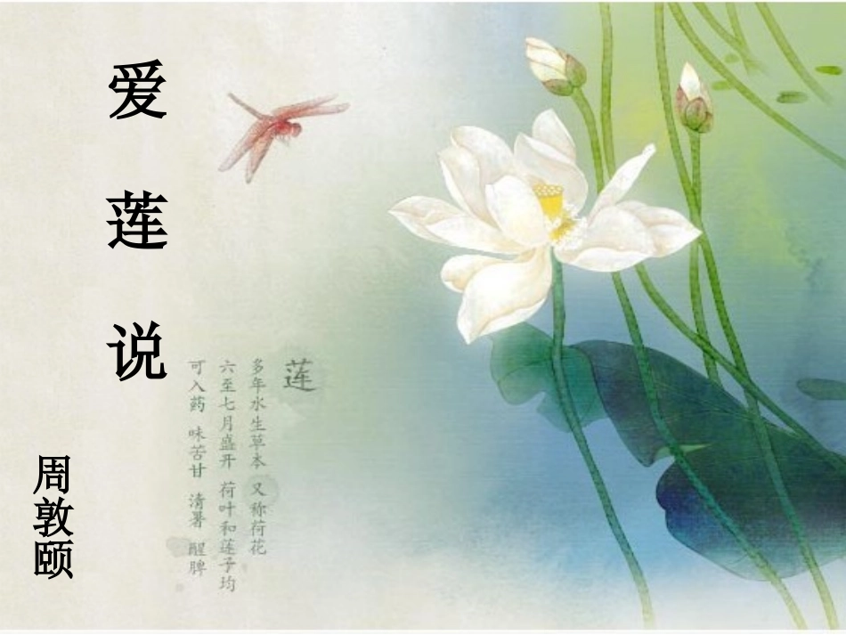 北师大2001课标版八年级下册《爱莲说》_第1页