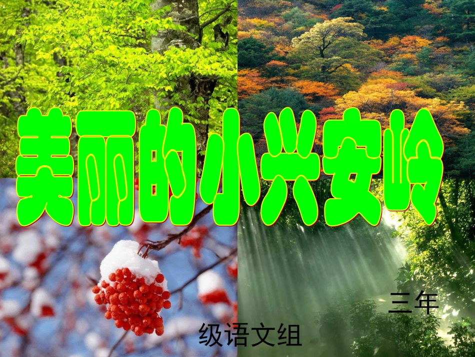 美丽的小兴安岭2_第1页