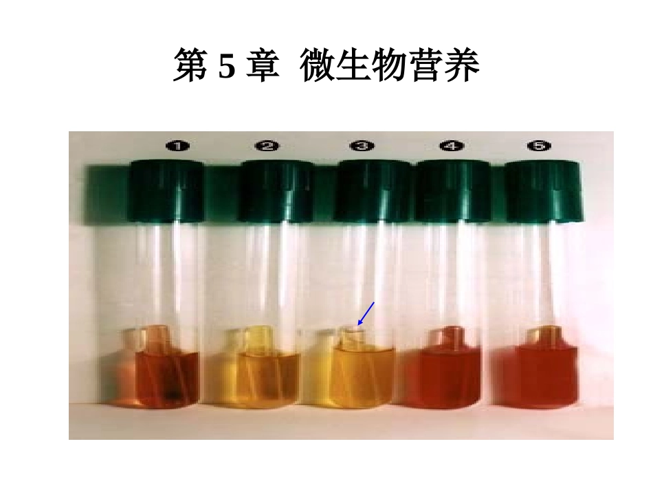 第5章微生物营养_第1页