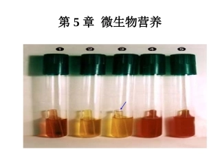 第5章微生物营养