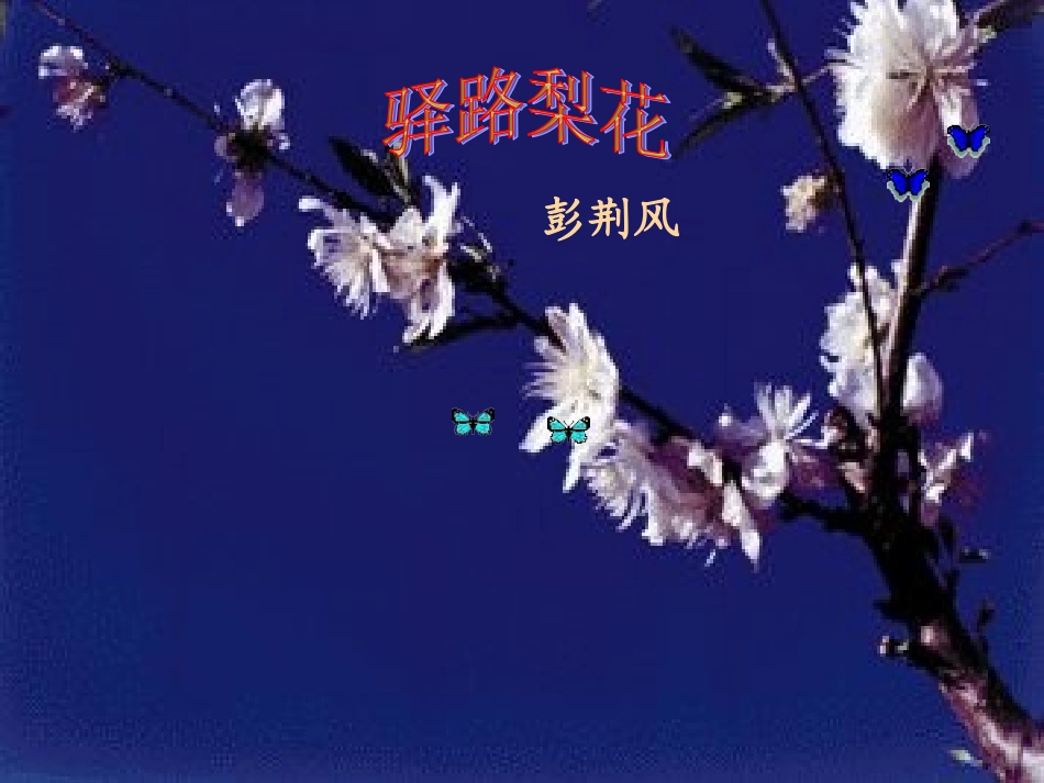 (部编)初中语文人教2011课标版七年级下册14驿路梨花_第1页